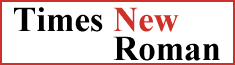 Times New Roman